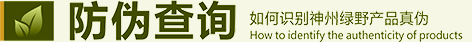防伪查询